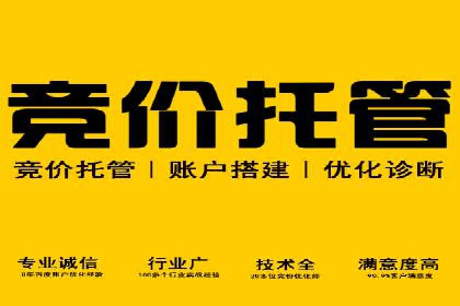 实战经验：竞价推广公司成功案例解析